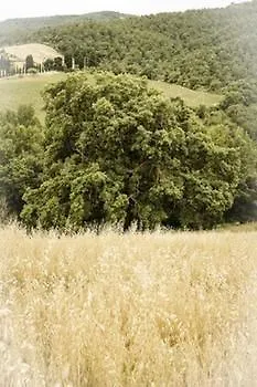 Agriturismo Esperia Chianciano Terme Farm stay